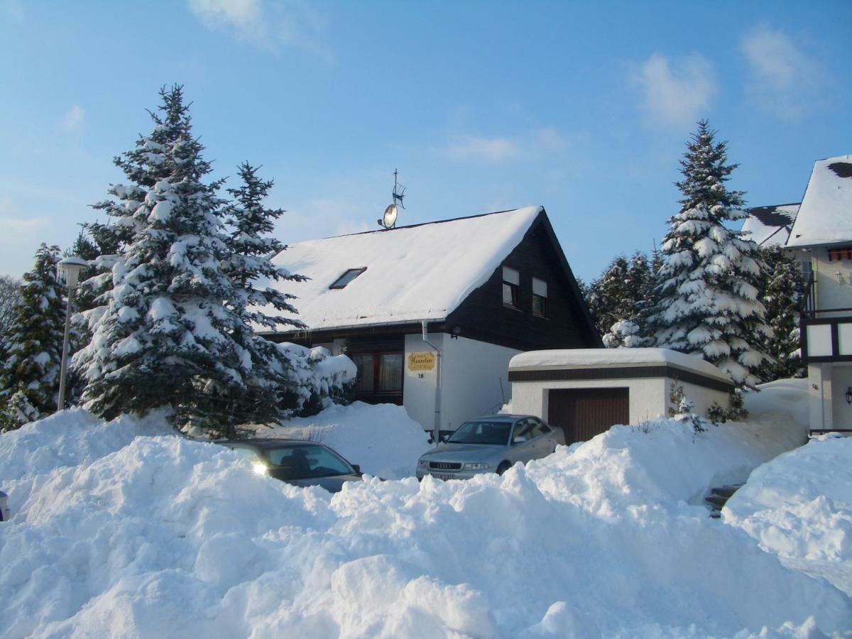 Haus Hannelore Willingen  Exterior photo